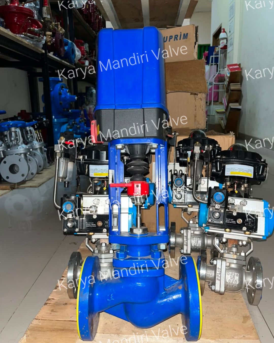 Motorized Globe Valve